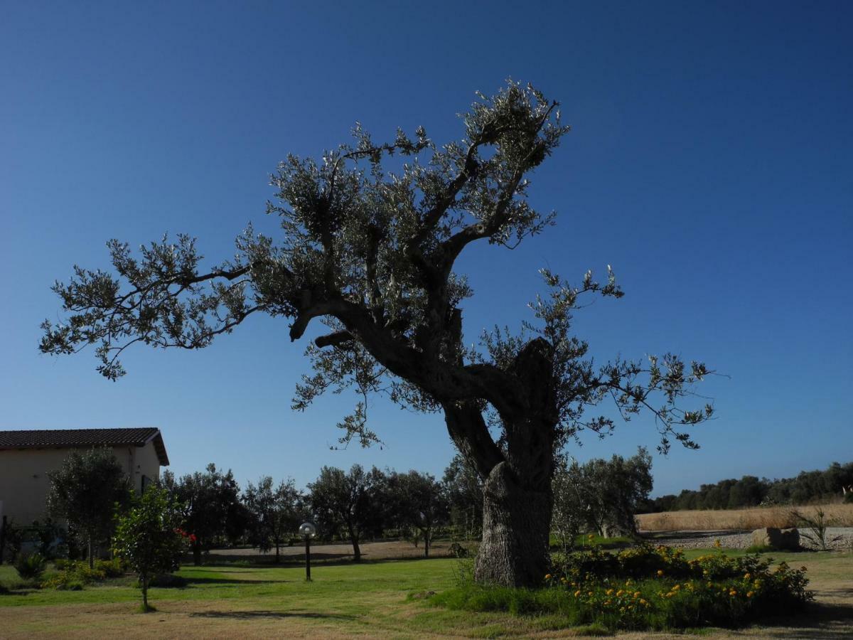 Agriturismo Is Solinas Masainas Екстериор снимка